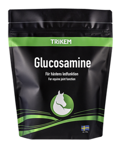 Glucosamine | Trikem