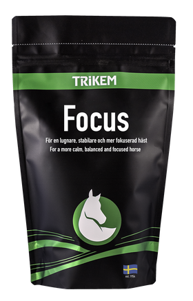 Focus