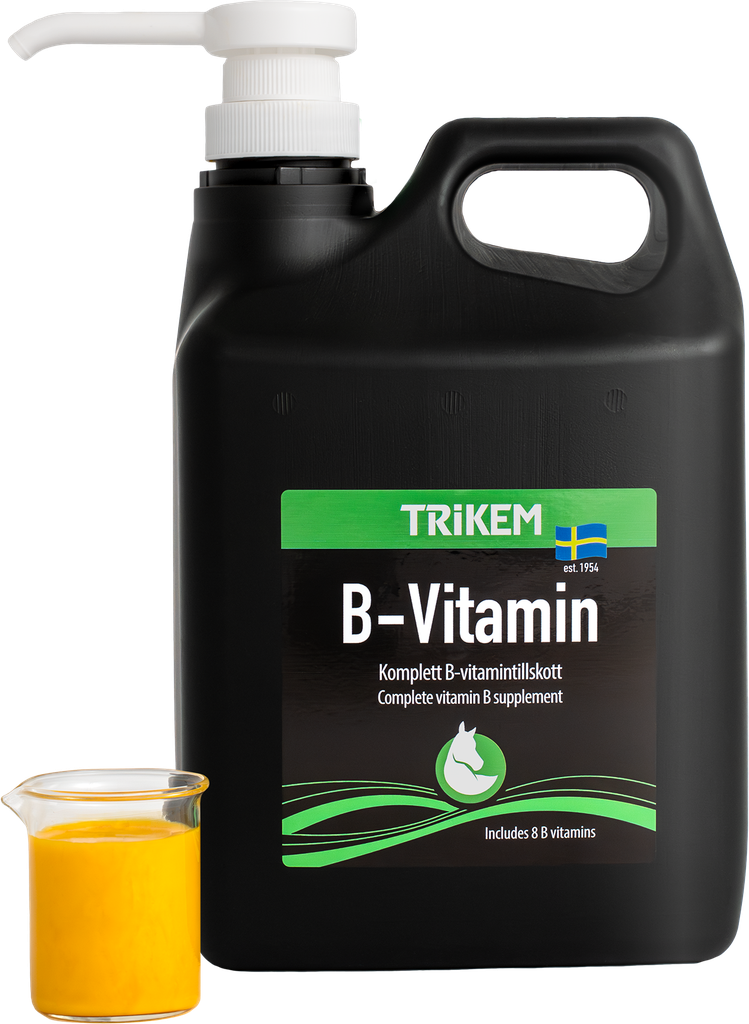B-Vitamin Liquid_2500ml_178320_pump.webp