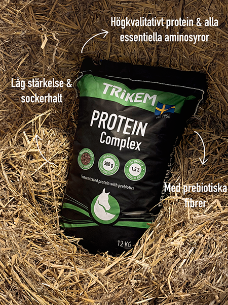 Protein Complex_usp.webp