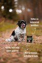 Maxdigestive.webp