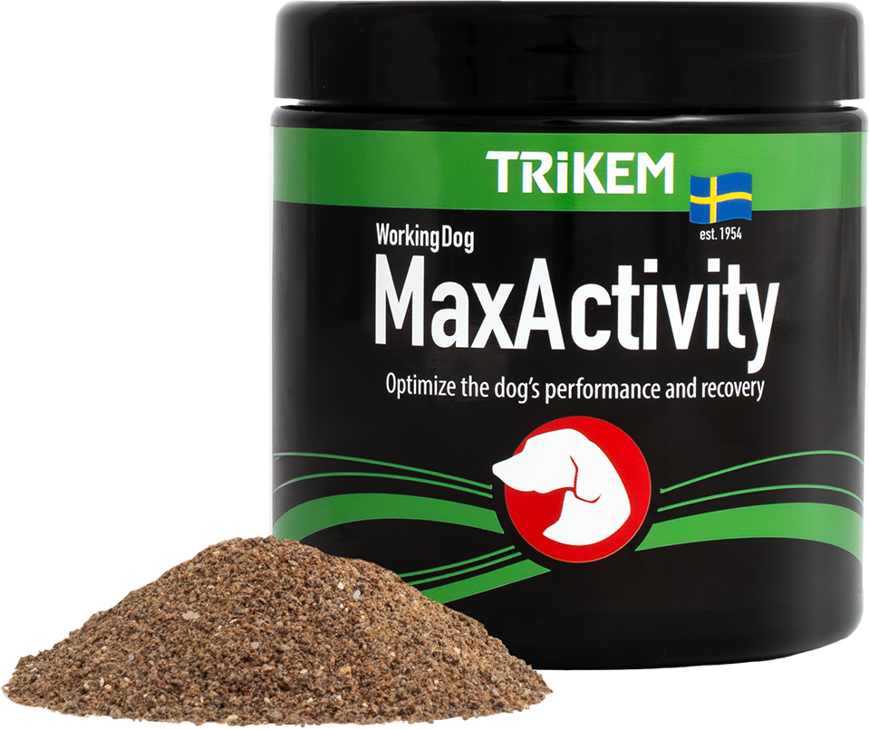 Max Activity_450g_1842450_produkt_Lowres.webp