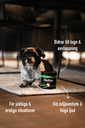 MaxRelax.webp