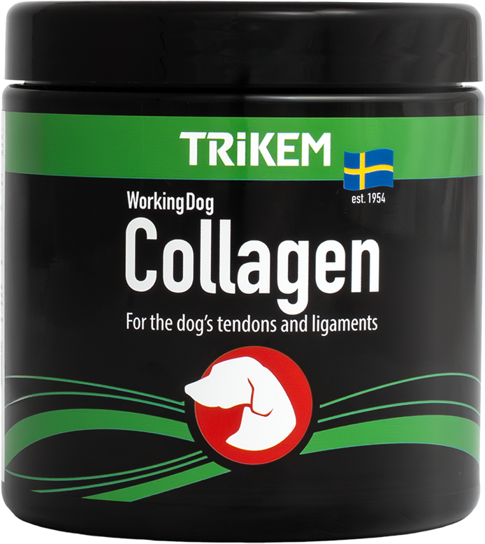 WorkingDog Collagen 350 g