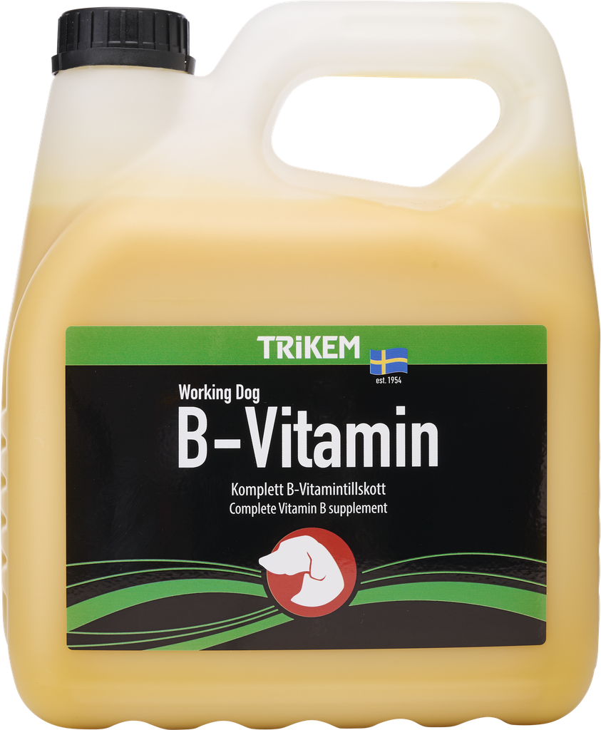 WorkingDog B-Vitamin