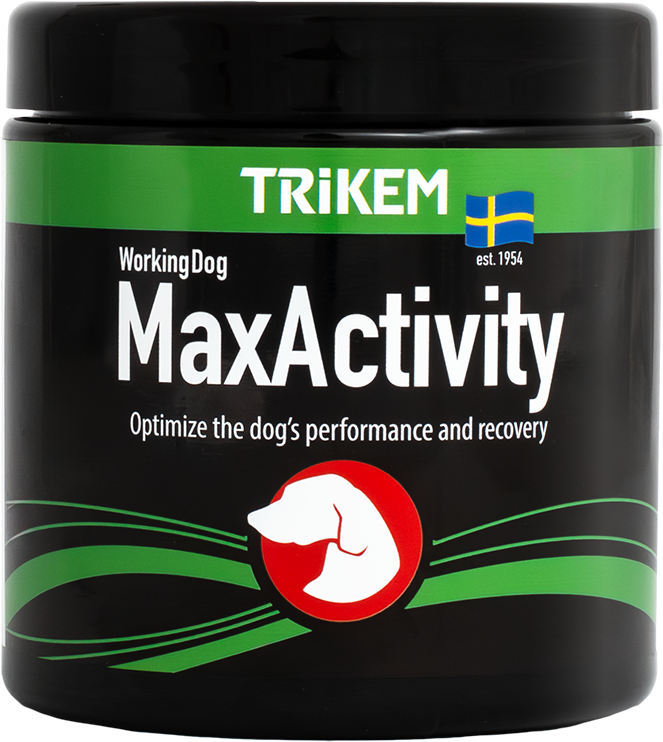 WorkingDog MaxActivity