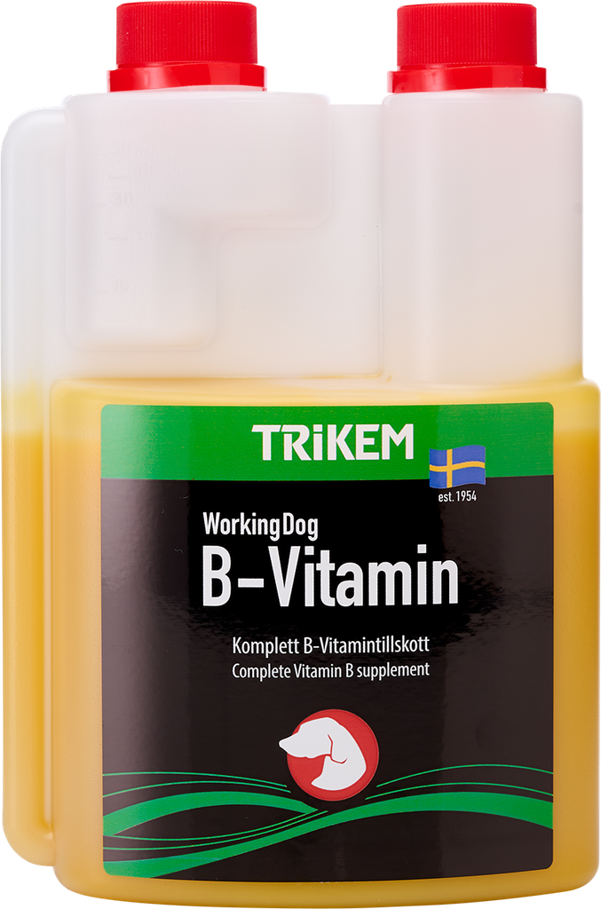 W D B-VITAMIN HUND  50