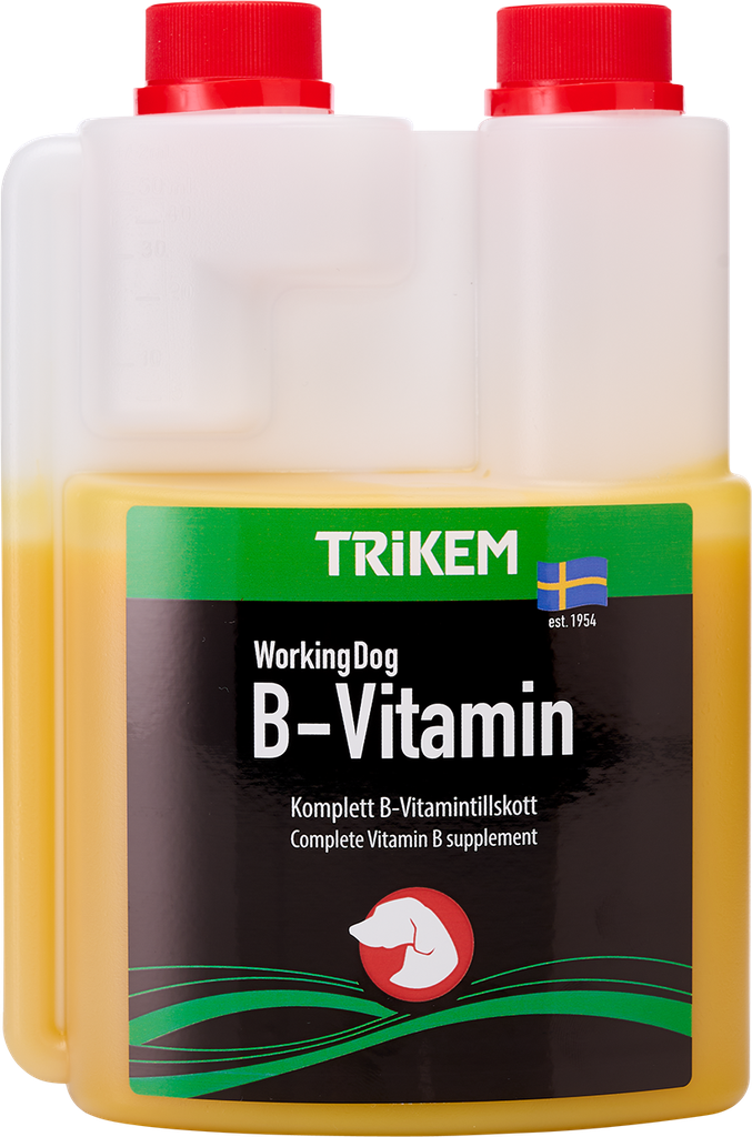 WorkingDog B-Vitamin 500 ml