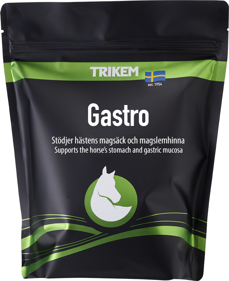 Trikem Gastro 1000 g