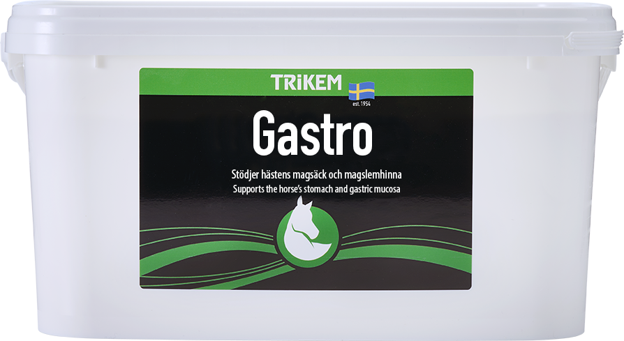 Trikem Gastro 3000 g