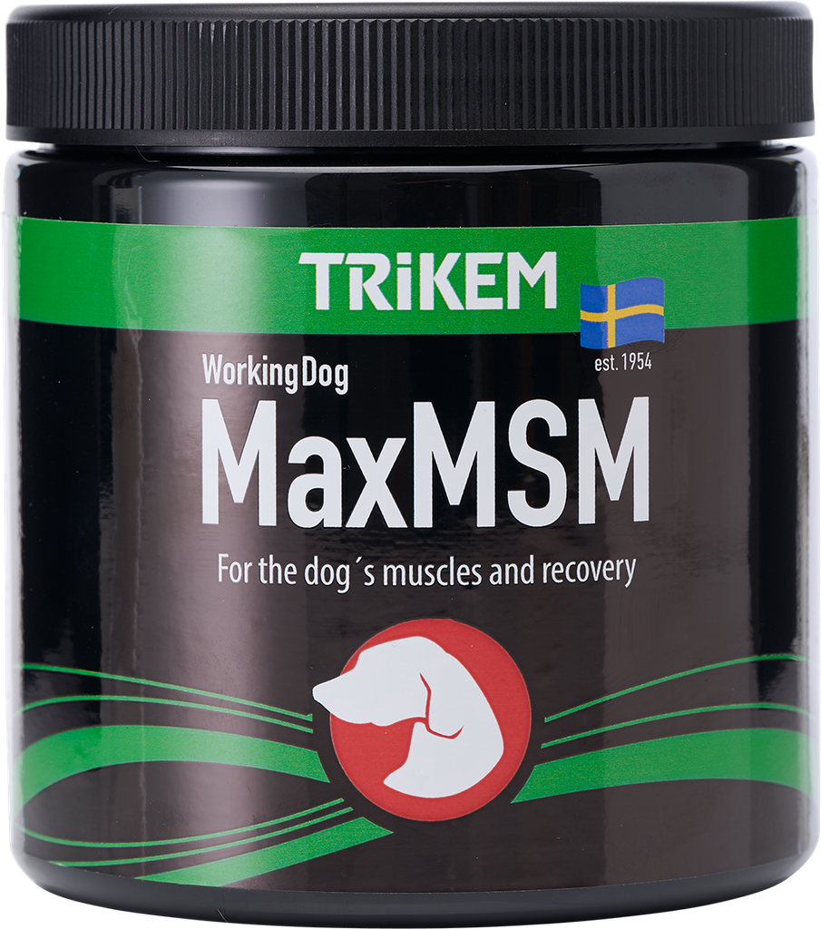 WorkingDog MSM+ 450g