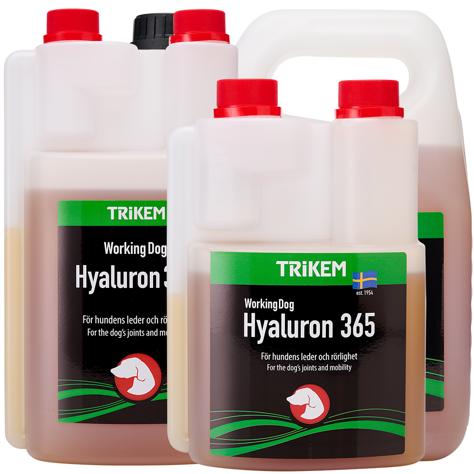 WorkingDog Hyaluron365